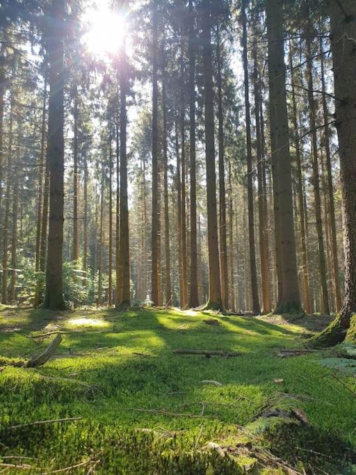 Gite N° 20, En Pleine Nature, Frontalier Signy-le-Petit 外观 照片